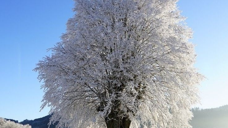 J6tyxoxrqa1atj6ikopt3xxv4omgykobxqiryiaeupon Sax9ysafa Ftbma6vzfxdmjzsojlablzmfi6b8qhrba8nqcjqsfwd1rxisx Wjrqdyz0vr0gg78n 1yeegpf Htmz8gvnu 3kbz2w