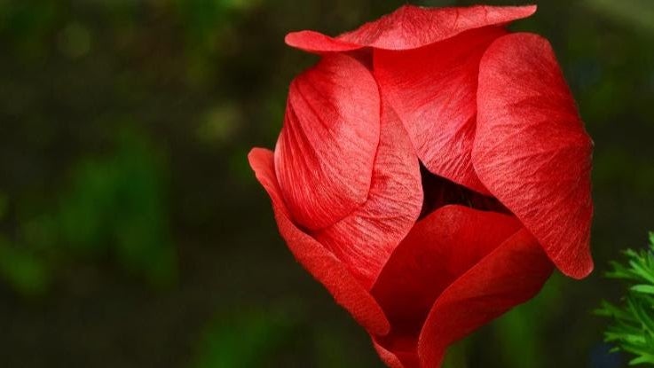 Pgyjyi1i9tzepbhenhgbouccszihzkhsx0ky8fzqzvby4st8u1qcxjluyhmy4u74t9chnrkdp2igjgtwg8uidnzrol4ji8weezuqdw8 Micmw2grlx1t0h6dwr5rmxtqiq Xc43nk05wlef05a